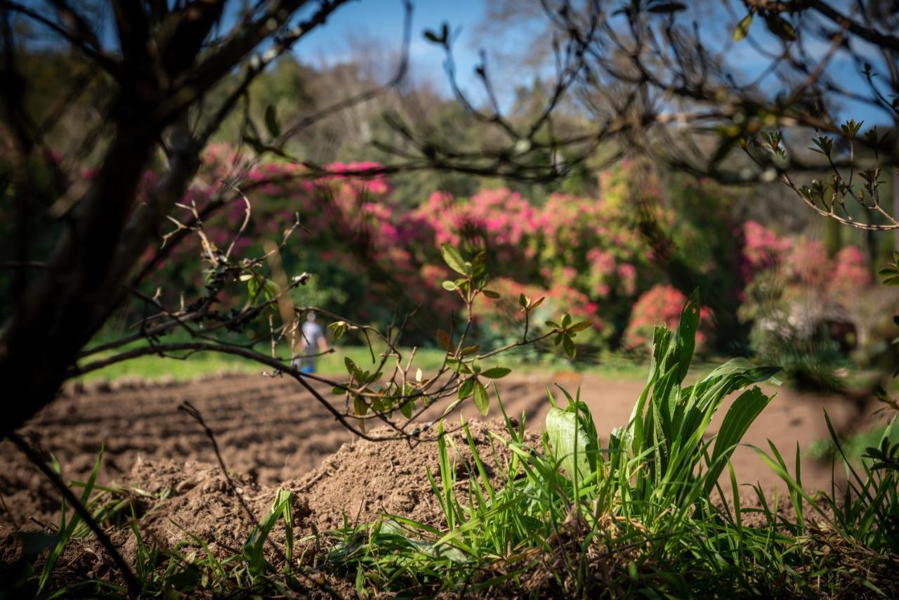 Quinta De Mouraes Casa Dos Rododendros Vendégház Lever Kültér fotó