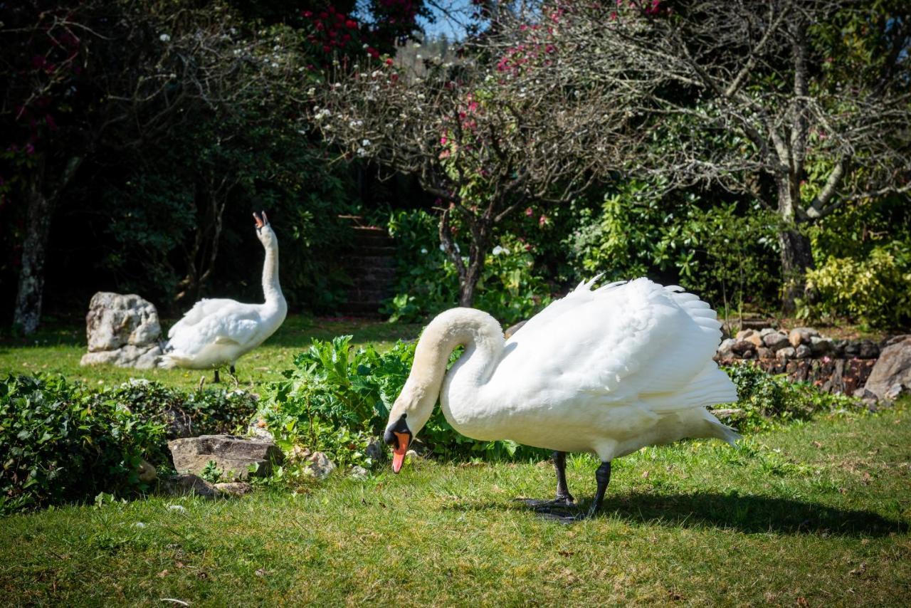 Quinta De Mouraes Casa Dos Rododendros Vendégház Lever Kültér fotó