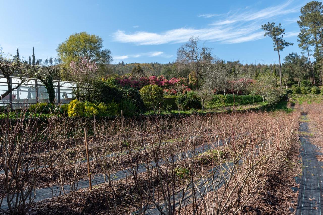 Quinta De Mouraes Casa Dos Rododendros Vendégház Lever Kültér fotó