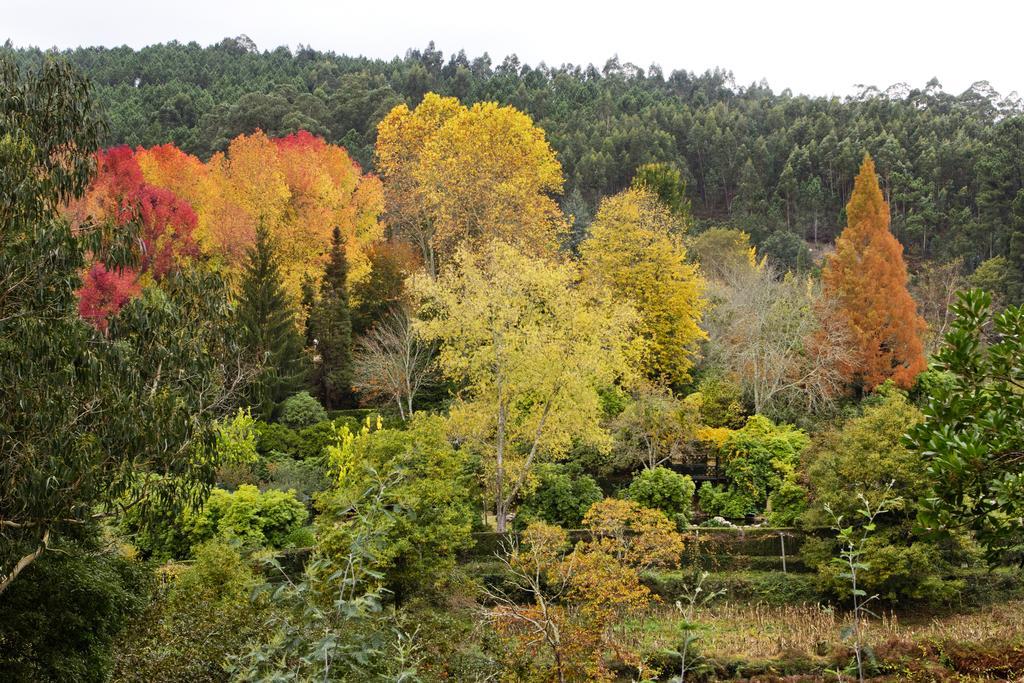 Quinta De Mouraes Casa Dos Rododendros Vendégház Lever Kültér fotó