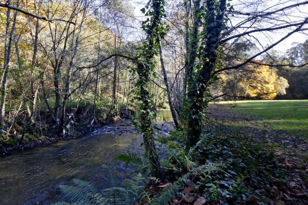 Quinta De Mouraes Casa Dos Rododendros Vendégház Lever Kültér fotó