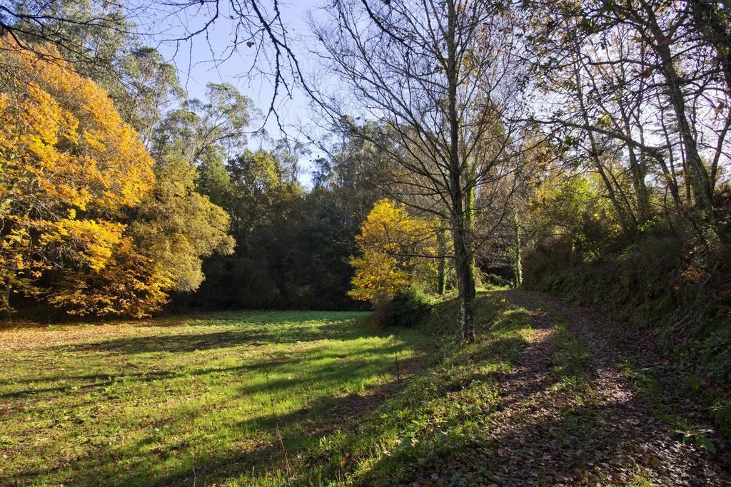 Quinta De Mouraes Casa Dos Rododendros Vendégház Lever Kültér fotó