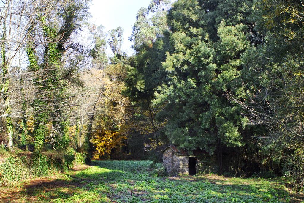 Quinta De Mouraes Casa Dos Rododendros Vendégház Lever Kültér fotó
