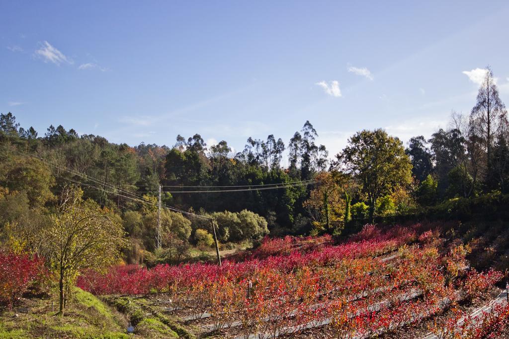 Quinta De Mouraes Casa Dos Rododendros Vendégház Lever Kültér fotó