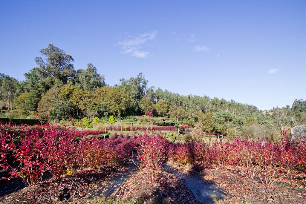 Quinta De Mouraes Casa Dos Rododendros Vendégház Lever Kültér fotó