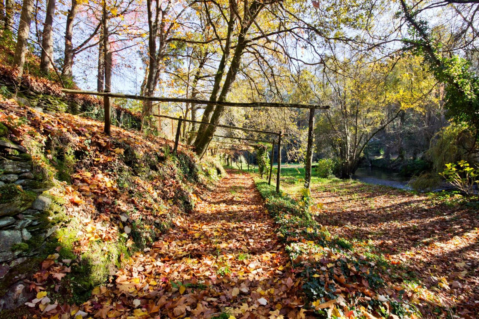 Quinta De Mouraes Casa Dos Rododendros Vendégház Lever Kültér fotó